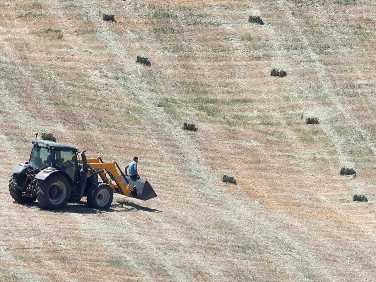 Les assureurs face au chaos climatique : quand la météo bouleverse un métier centenaire