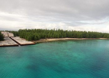 découvrez les principales disparités des assurances en outre-mer : différences de couverture, tarifs, accès aux services et défis spécifiques rencontrés par les assurés ultramarins.