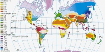 découvrez comment le secteur de l'assurance s'adapte à la crise climatique : défis, solutions innovantes et impacts sur vos garanties face aux catastrophes naturelles.